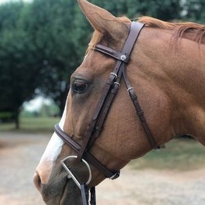 Meet your Posher, Abigail